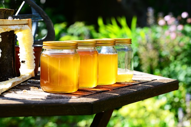 claves para aumentar la producción de miel