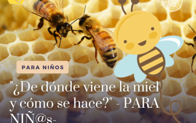 “¿De dónde viene la miel y cómo se hace?” – PARA NIÑ@s-