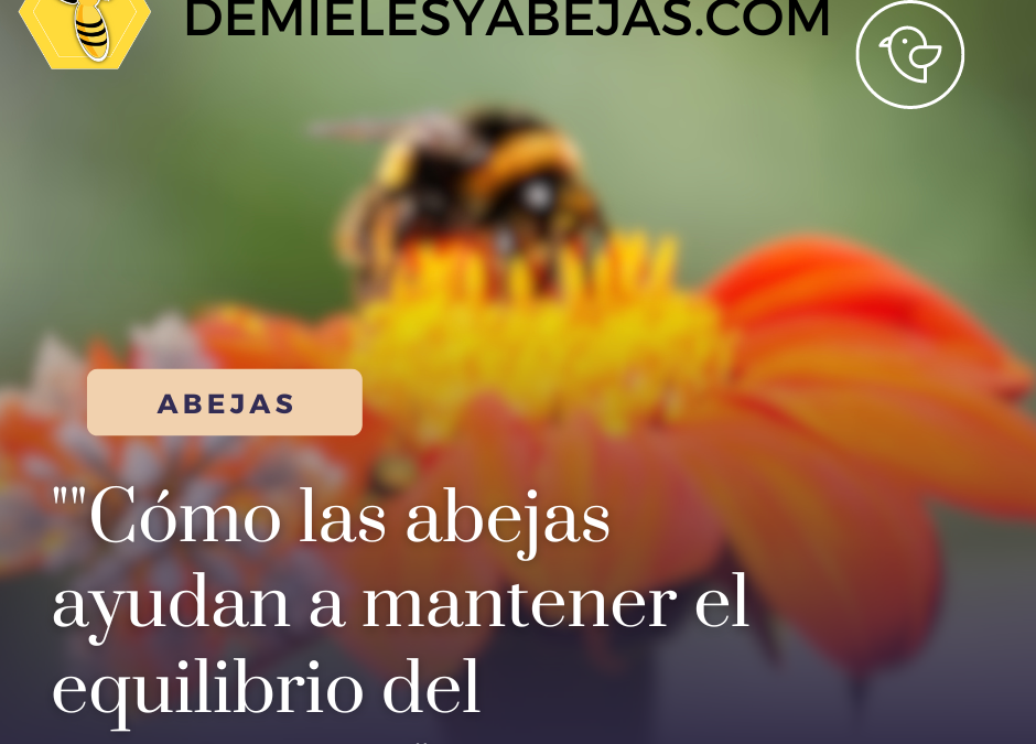 “Cómo las abejas ayudan a mantener el equilibrio del ecosistema”