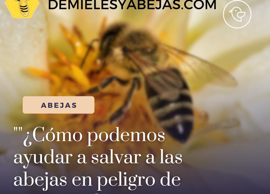 “¿Cómo podemos ayudar a salvar a las abejas en peligro de extinción?”